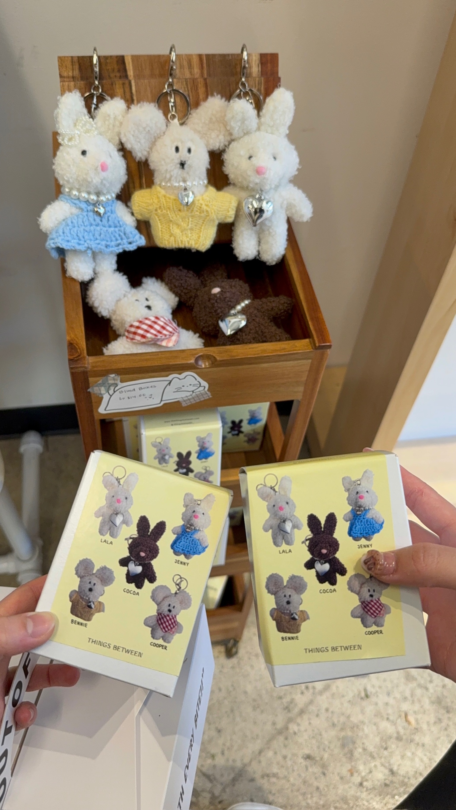 Blind box plush keychains
